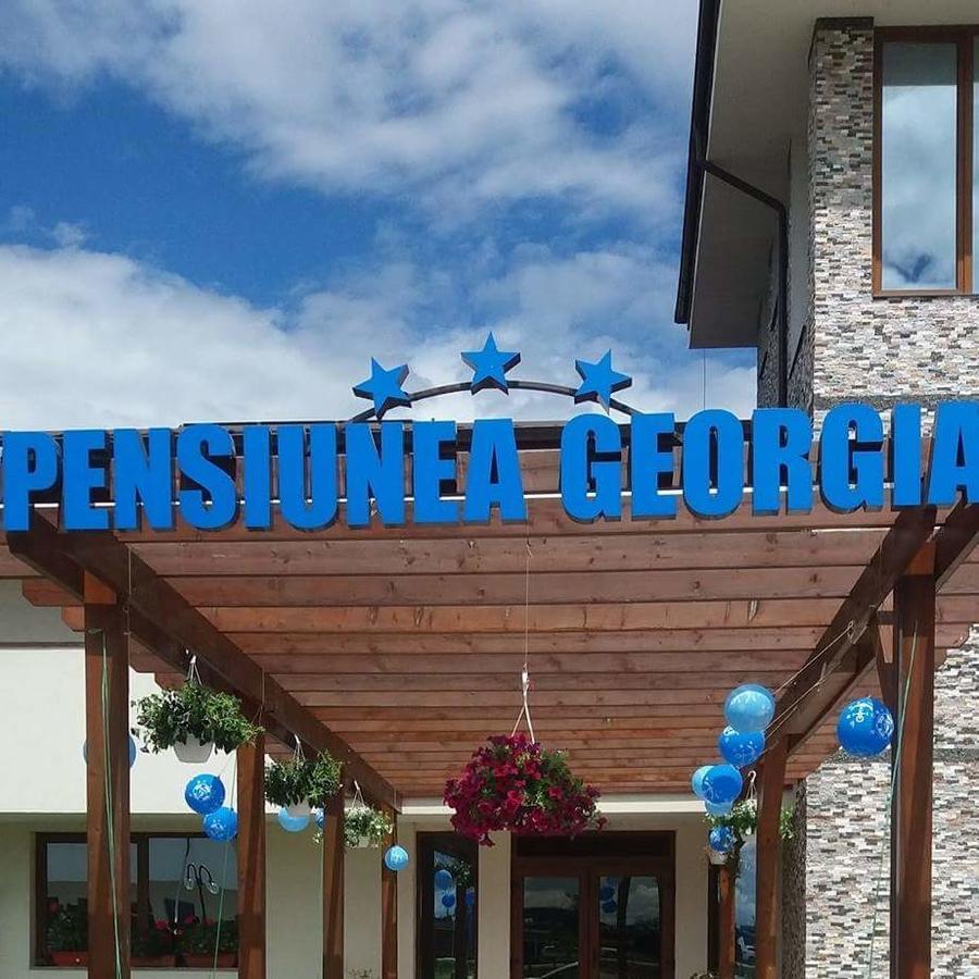 Pensiunea Georgia Lunguleţul Eksteriør billede
